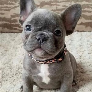 Meet your Posher, Tamara